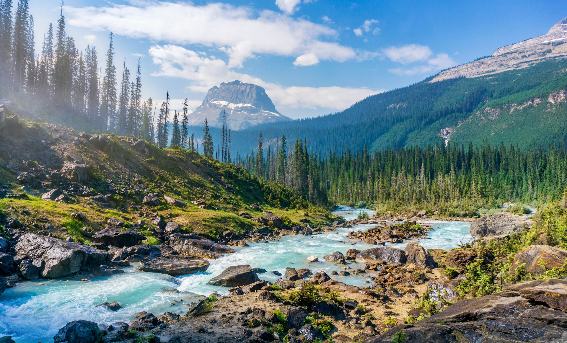 The Thompson River winding through a forested valley